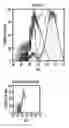 Fig. 01 - Multi-pulse transfection methods and cells