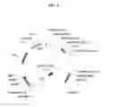 Fig. 05 - Modulation of Transgene Expression in Plants