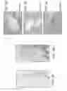 Fig. 08 - Compositions and Methods for Enhancing Bioenergetic Status in Female Germ Cells