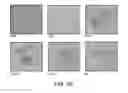Fig. 11 - Compositions and Methods for Enhancing Bioenergetic Status in Female Germ Cells