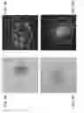 Fig. 12 - Compositions and Methods for Enhancing Bioenergetic Status in Female Germ Cells