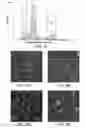 Fig. 22 - Compositions and Methods for Enhancing Bioenergetic Status in Female Germ Cells