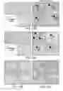 Fig. 25 - Compositions and Methods for Enhancing Bioenergetic Status in Female Germ Cells
