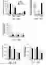 Fig. 31 - Compositions and Methods for Enhancing Bioenergetic Status in Female Germ Cells