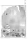 Fig. 38 - Compositions and Methods for Enhancing Bioenergetic Status in Female Germ Cells
