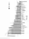 Fig. 41 - Compositions and Methods for Enhancing Bioenergetic Status in Female Germ Cells