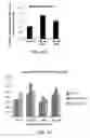 Fig. 52 - Compositions and Methods for Enhancing Bioenergetic Status in Female Germ Cells