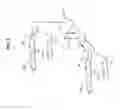 Fig. 02 - High-purity steviol glycosides