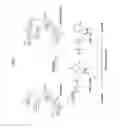 Fig. 04 - High-purity steviol glycosides