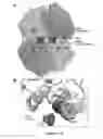 Fig. 06 - Method of screening compounds