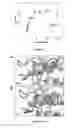 Fig. 09 - Method of screening compounds