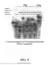 Fig. 06 - ENZYMATIC NUCLEIC ACID SYNTHESIS: COMPOSITIONS AND METHODS FOR INHIBITING PYROPHOSPHOROLYSIS