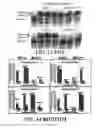Fig. 15 - ENZYMATIC NUCLEIC ACID SYNTHESIS: COMPOSITIONS AND METHODS FOR INHIBITING PYROPHOSPHOROLYSIS