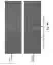 Fig. 05 - SURFACE CONCATEMERIZATION OF TEMPLATES