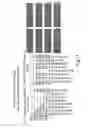 Fig. 09 - SURFACE CONCATEMERIZATION OF TEMPLATES