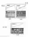 Fig. 17 - TUMOR AND MICROENVIRONMENT GENE EXPRESSION, COMPOSITIONS OF MATTER AND METHODS OF USE THEREOF