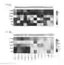 Fig. 30 - TUMOR AND MICROENVIRONMENT GENE EXPRESSION, COMPOSITIONS OF MATTER AND METHODS OF USE THEREOF