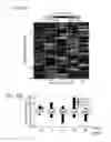 Fig. 41 - TUMOR AND MICROENVIRONMENT GENE EXPRESSION, COMPOSITIONS OF MATTER AND METHODS OF USE THEREOF
