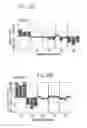 Fig. 42 - TUMOR AND MICROENVIRONMENT GENE EXPRESSION, COMPOSITIONS OF MATTER AND METHODS OF USE THEREOF