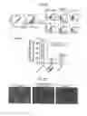 Fig. 07 - Method for sorting tissue cells