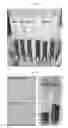 Fig. 09 - Microalgae with improved phototaxis and photosynthetic efficiency