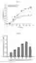 Fig. 10 - Microalgae with improved phototaxis and photosynthetic efficiency