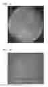 Fig. 09 - Grain refinement in iron-based materials