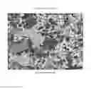 Fig. 06 - Lithium-containing transition metal oxide target