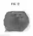 Fig. 08 - Method for producing silicon carbide single crystal in a solution process using a seed crystal having a bottom face with a circular shape and at least a partially removed section