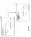 Fig. 09 - Set membership testers for aligning nucleic acid samples