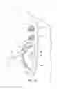 Fig. 07 - Combination step bolt and fall protection anchorage assemblies