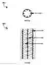 Fig. 13 - Buckling resistant spring clad bar