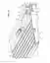 Fig. 09 - Threshold assembly having a rail with a drainage wall defining a drainage passageway