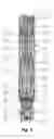 Fig. 04 - Device for isolating a tool from axial vibration while maintaining conductor connectivity