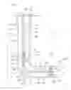 Fig. 02 - Systems and apparatuses for separating wellbore fluids and solids during production