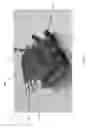 Fig. 04 - Telerobotic shrinkage mining