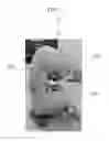 Fig. 04 - Insulation structure of catalytic converter of vehicle