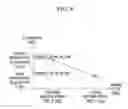 Fig. 09 - Catalyst oxygen purge control apparatus and method