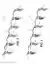 Fig. 04 - Stand-alone common rail capable injector system