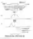 Fig. 01 - Magnetic fluid drive unit and magnetic fluid driving method
