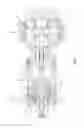 Fig. 02 - Dual parallel hydraulic actuator