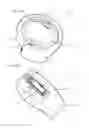 Fig. 27 - Double flapper valve for a variable cam timing system
