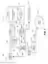 Fig. 02 - Three-dimensional VLC/DLC sensor clip
