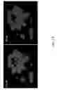 Fig. 13 - Graphene-based multi-modal sensors