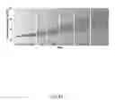 Fig. 18 - Graphene-based multi-modal sensors