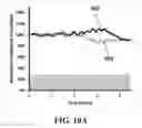 Fig. 25 - Method and system for metastasis diagnosis and prognosis