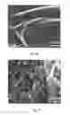 Fig. 04 - Graphene oxide-based nanolab and methods of detecting of exosomes