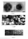 Fig. 16 - Graphene oxide-based nanolab and methods of detecting of exosomes