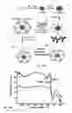Fig. 17 - Graphene oxide-based nanolab and methods of detecting of exosomes
