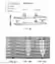 Fig. 35 - Methods and devices for integrating analyte extraction, concentration and detection